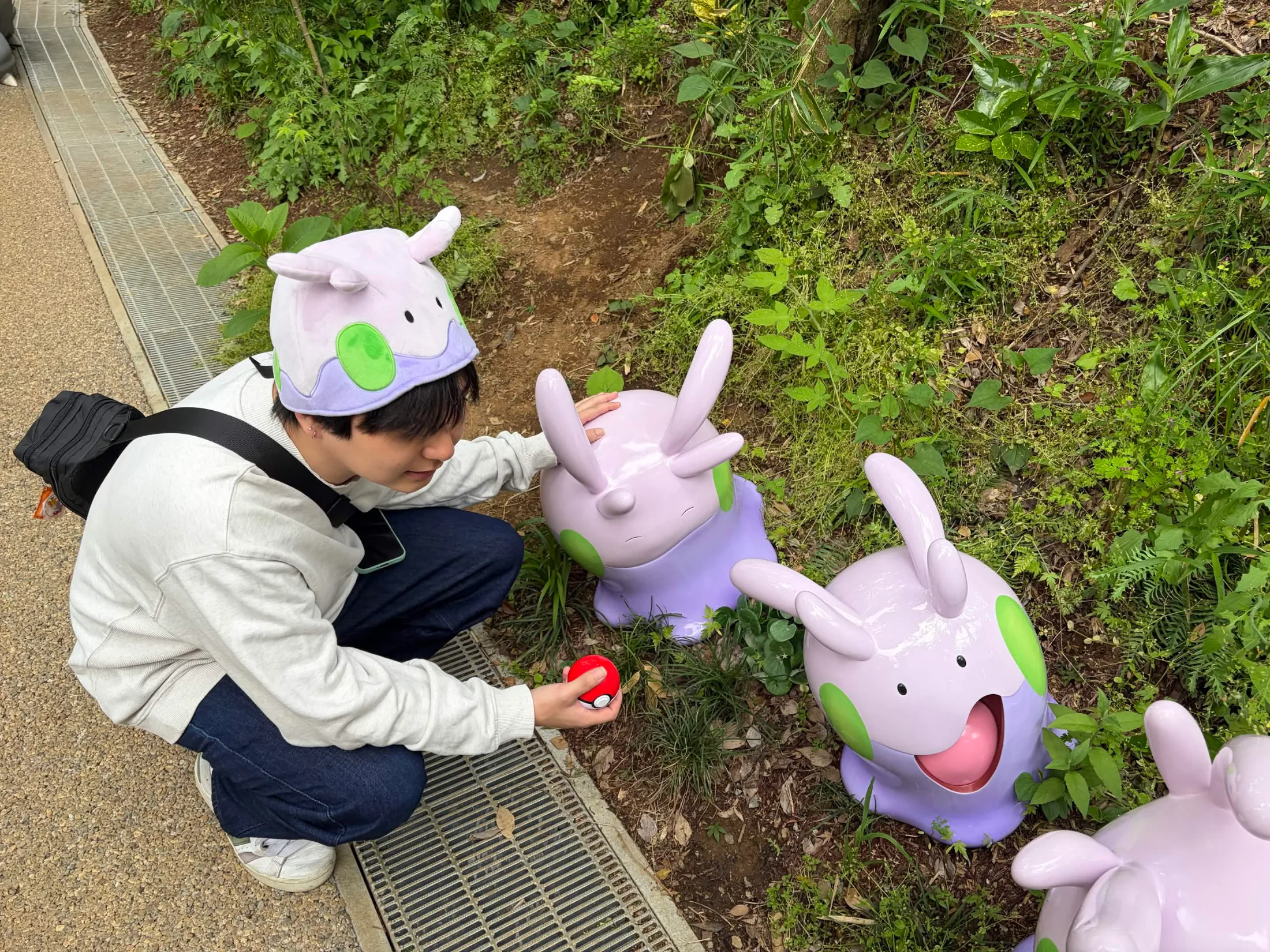PokéPark Kanto collage photo 13
