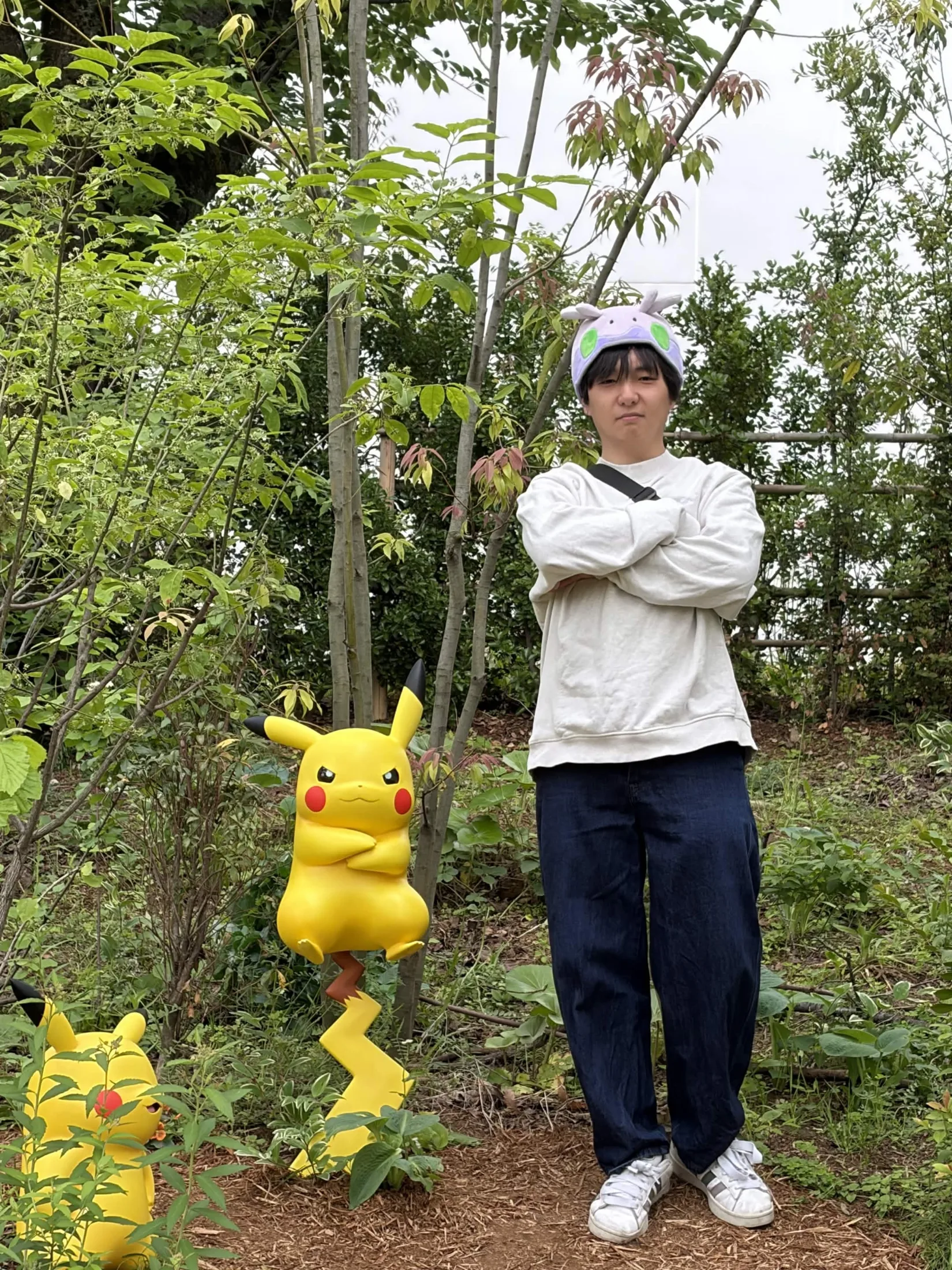 PokéPark Kanto collage photo 12