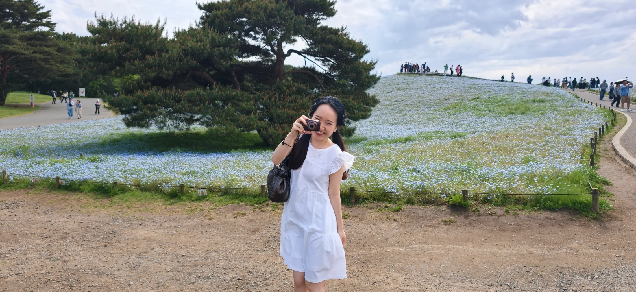 Flower Park Tour collage photo 2