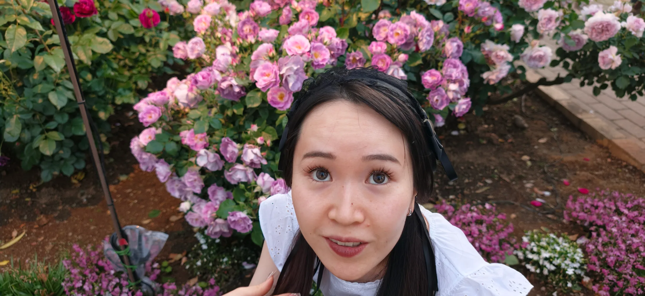 Flower Park Tour collage photo 11