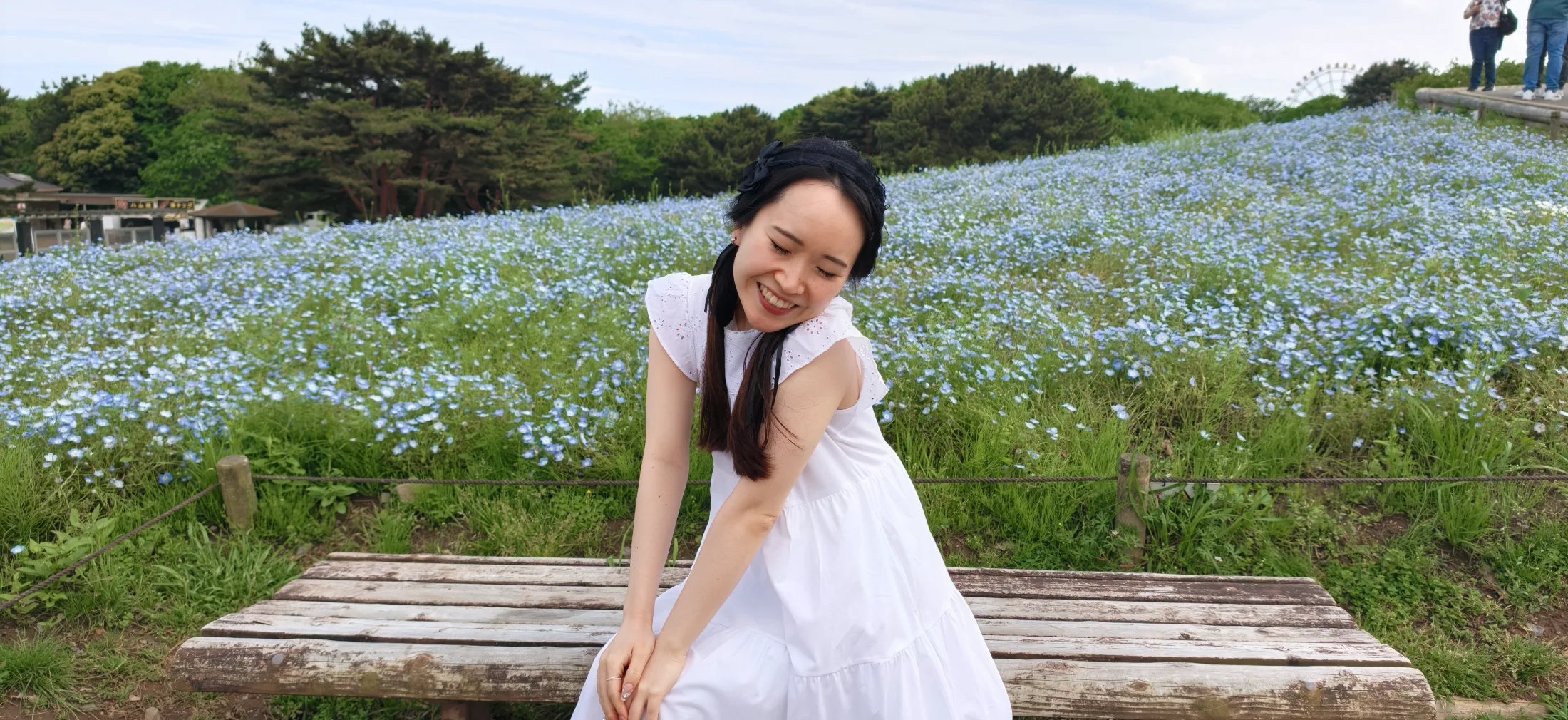 Flower Park Tour collage photo 4