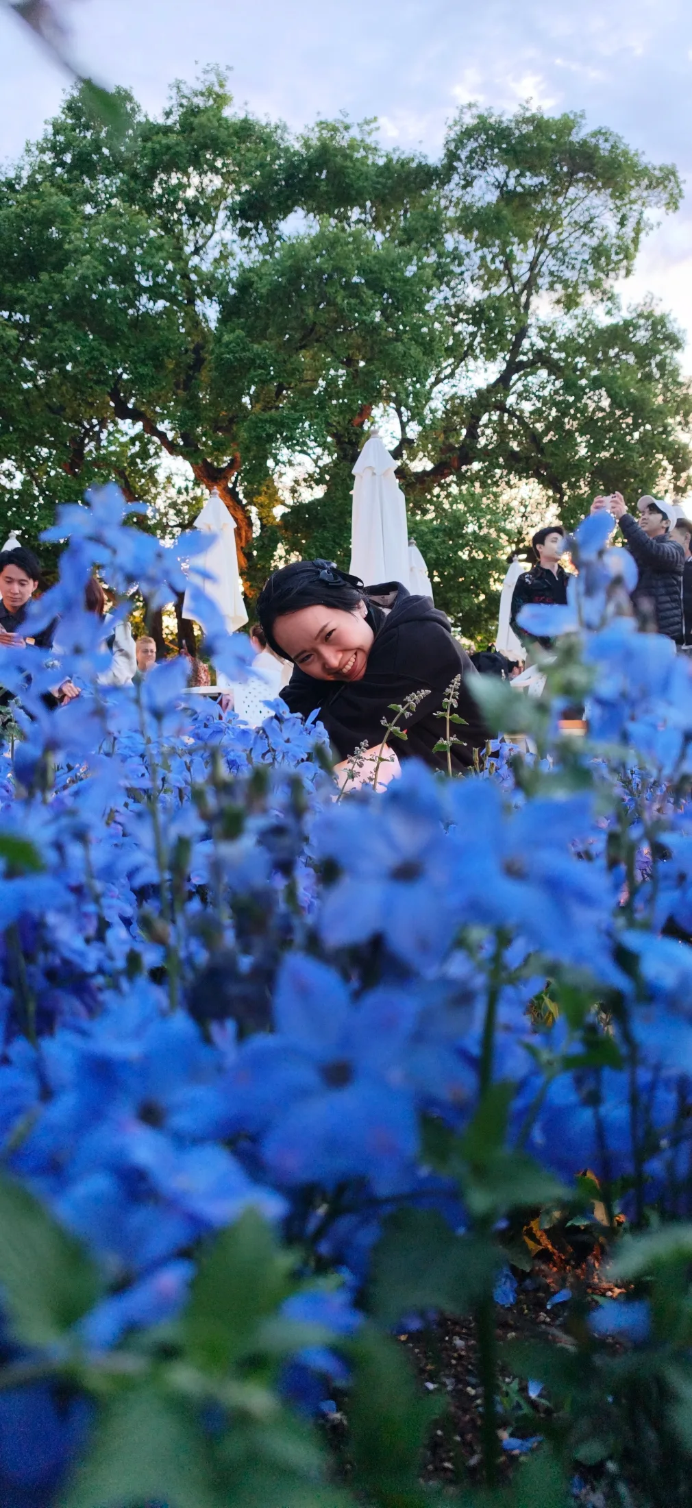Flower Park Tour collage photo 15