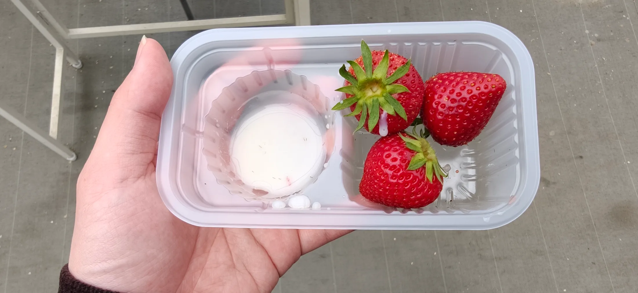 Strawberry Picking and Dumpling Festival collage photo 5