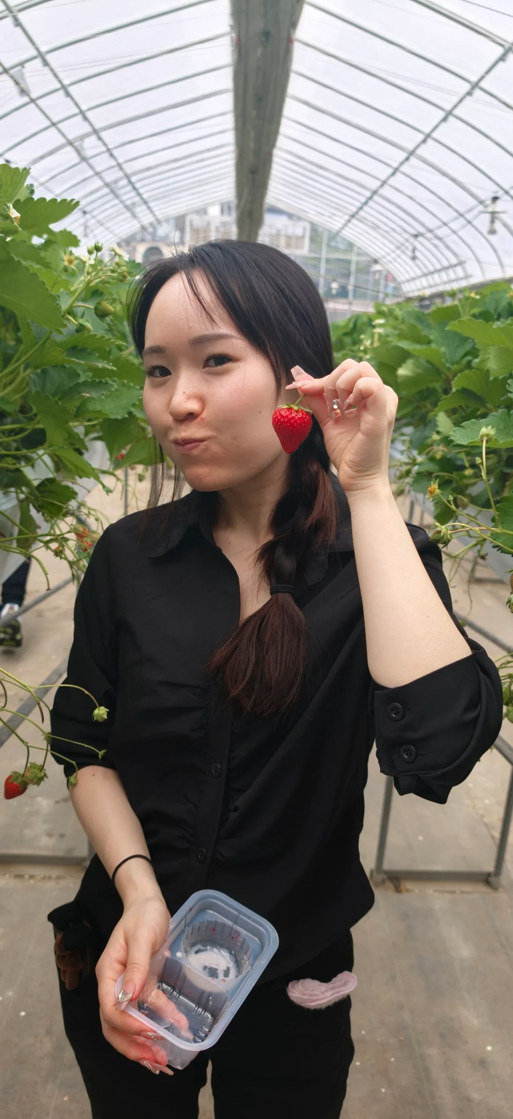 Strawberry Picking and Dumpling Festival collage photo 4