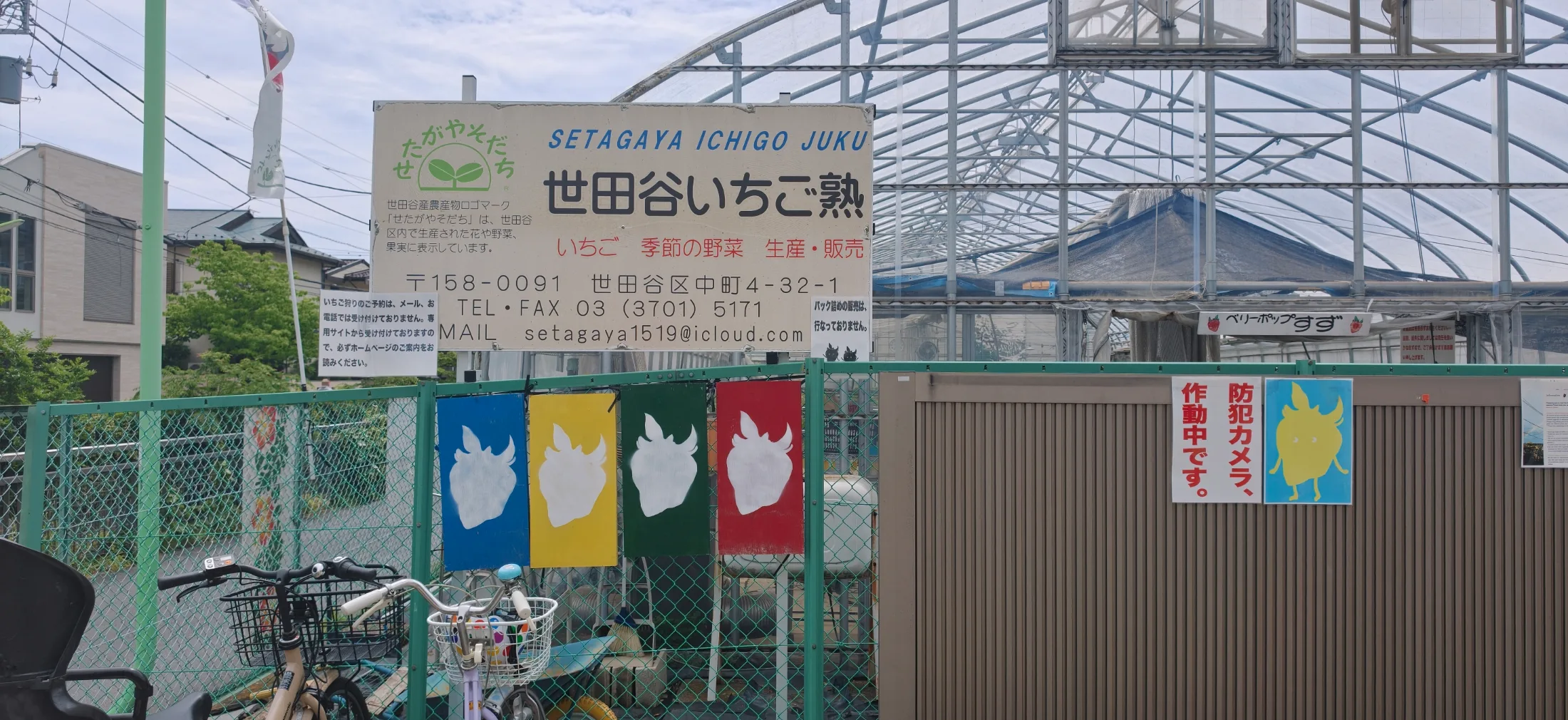 Strawberry Picking and Dumpling Festival collage photo 1