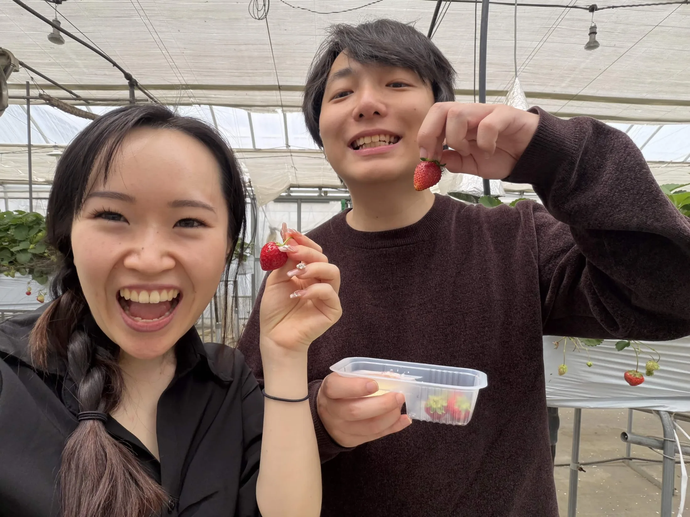 Strawberry Picking and Dumpling Festival collage photo 8