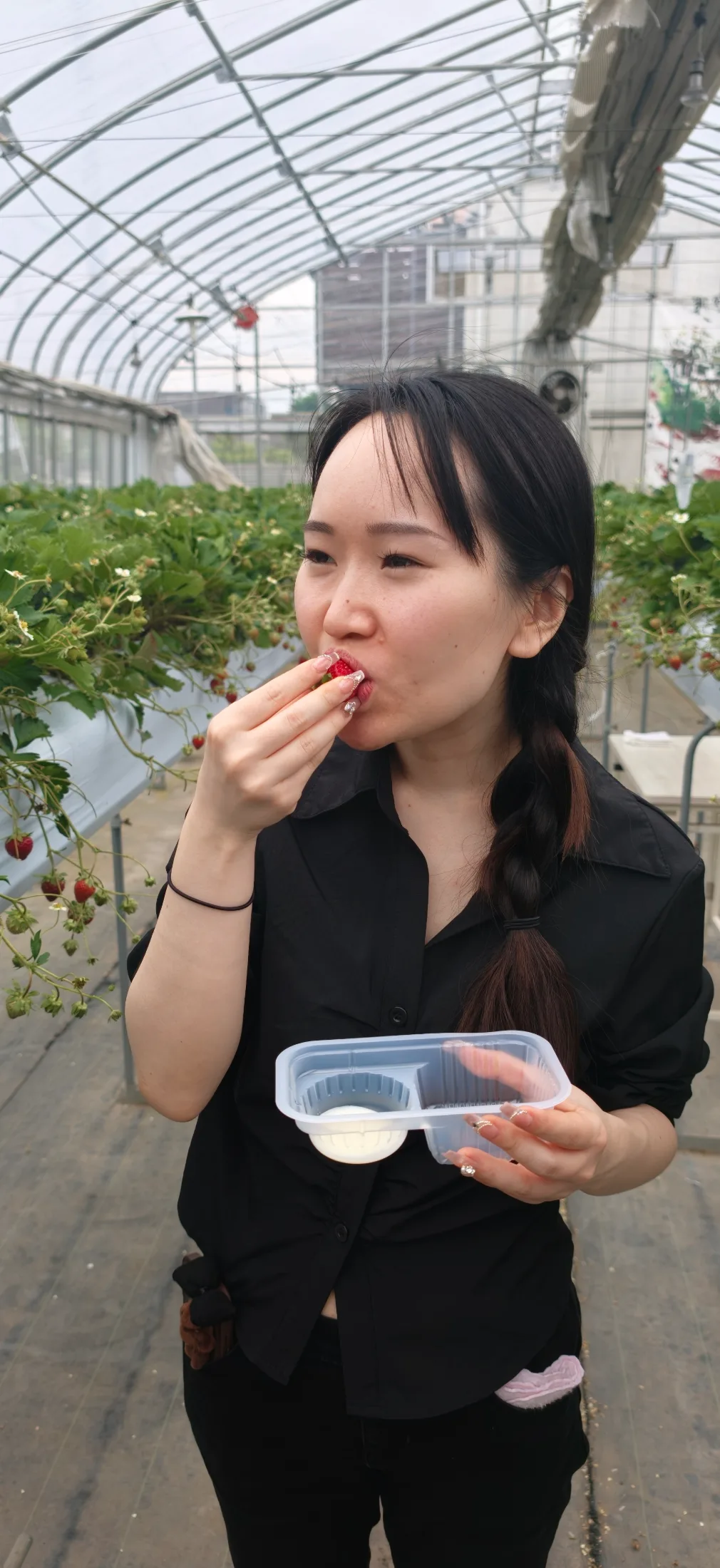 Strawberry Picking and Dumpling Festival collage photo 3