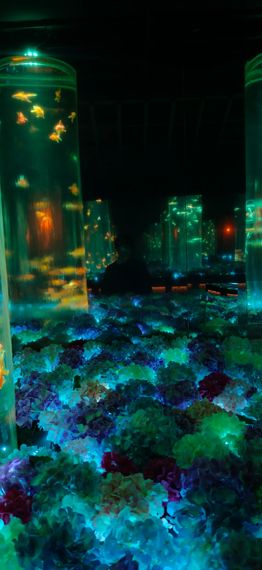 Art Aquarium and NB Club collage photo 9