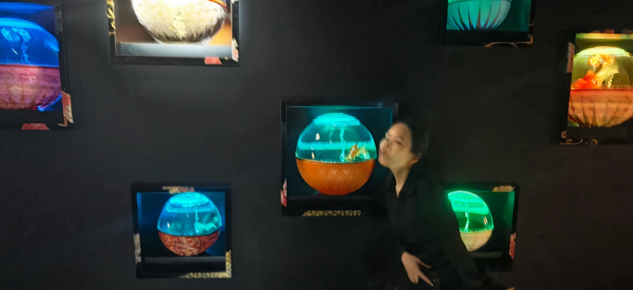 Art Aquarium and NB Club collage photo 2