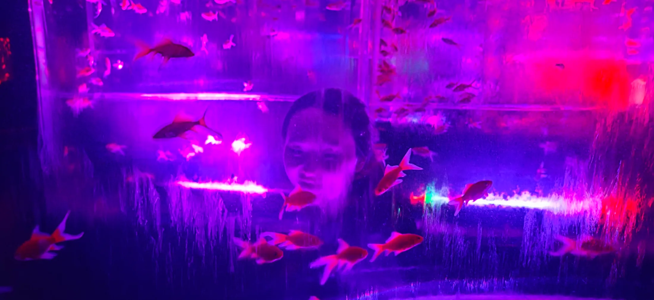 Art Aquarium and NB Club collage photo 8