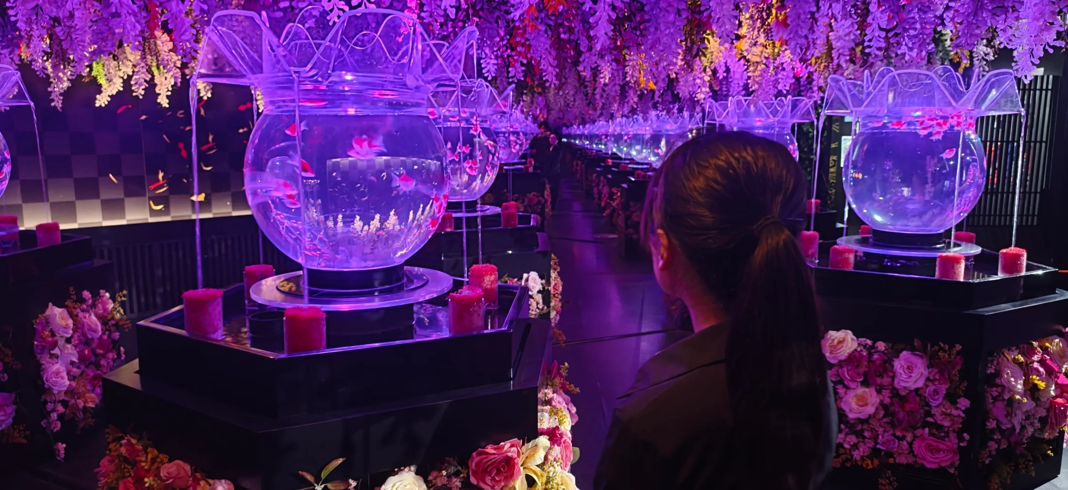 Art Aquarium and NB Club collage photo 11