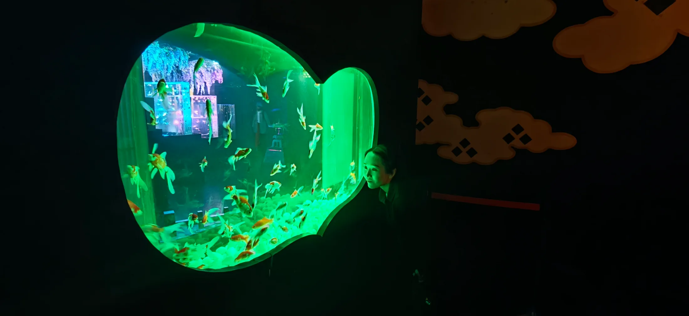 Art Aquarium and NB Club collage photo 13