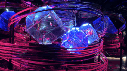 Art Aquarium and NB Club collage photo 5